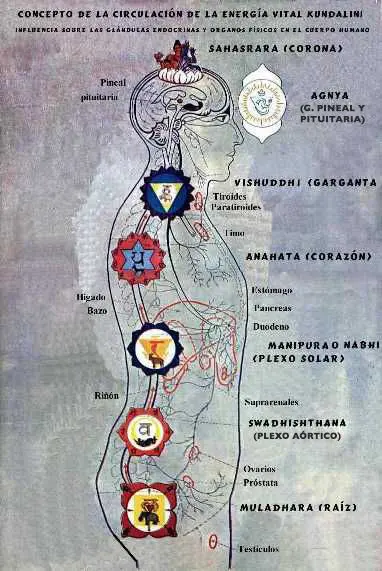 Sistema_sutil_Sahaja